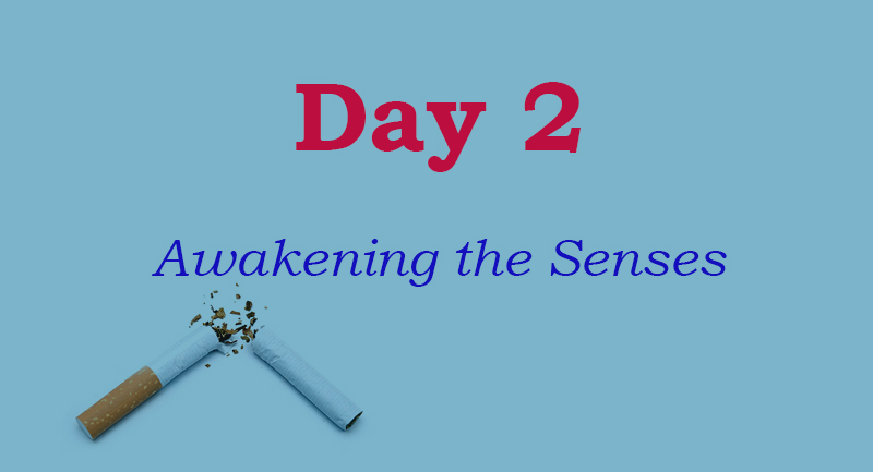 Day 2